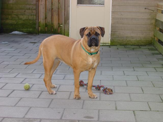 Rodesla 5 months